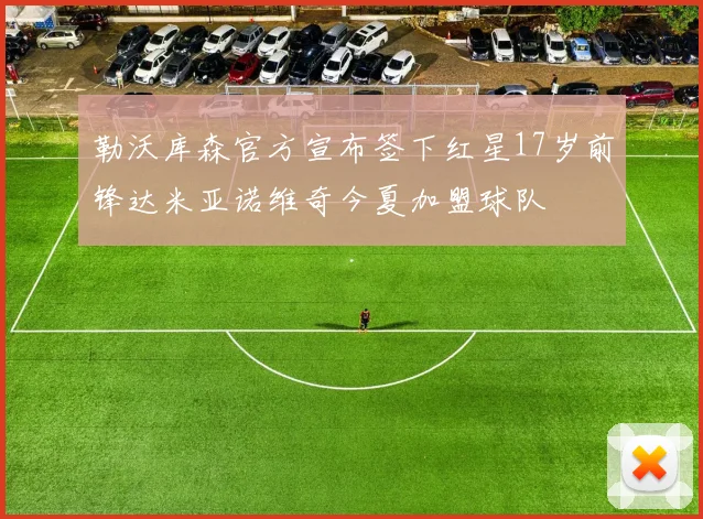 勒沃库森官方宣布签下红星17岁前锋达米亚诺维奇今夏加盟球队