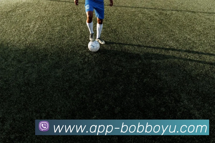 BOB体育APP 封面图