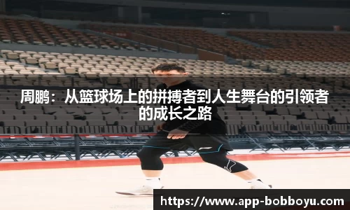 BOB博鱼