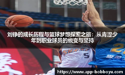 BOB博鱼app