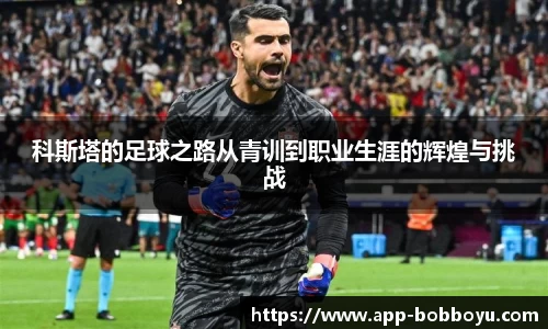 BOB博鱼app